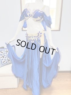 画像3: ▪︎10周年感謝セール▪︎ブルーコスチューム