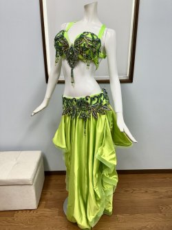画像6: エジプト製コスチューム　蛍光グリーン